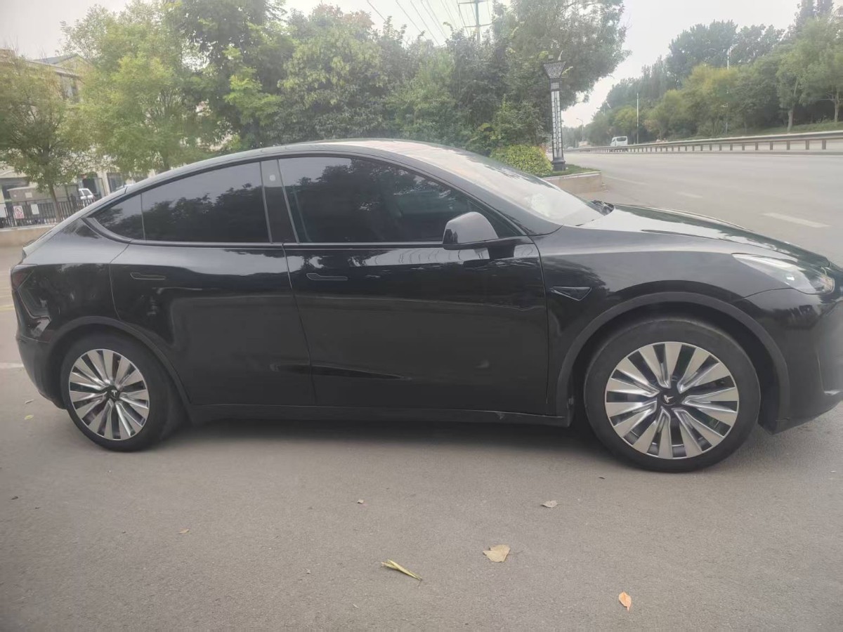 Tesla Model Y 2023 car image #6