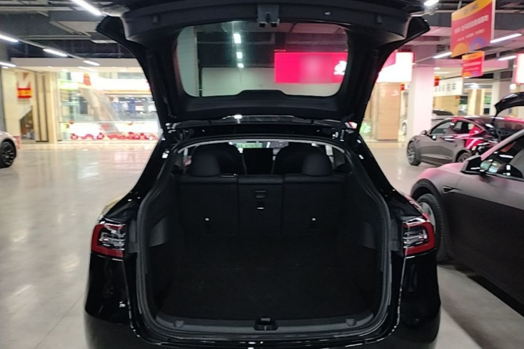 Tesla Model Y 2023 #19 Tesla Model Y 2023 car image #19
