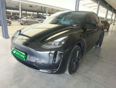 Tesla Model Y 2023 Tesla Model Y 2023 car image