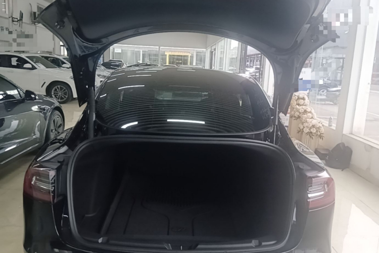 Tesla Model 3 2021 #19 Tesla Model 3 2021 car image #19