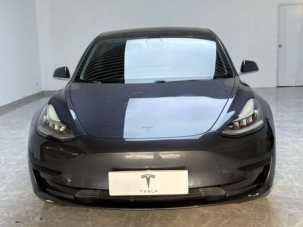 Tesla Model 3 2020 car image #2