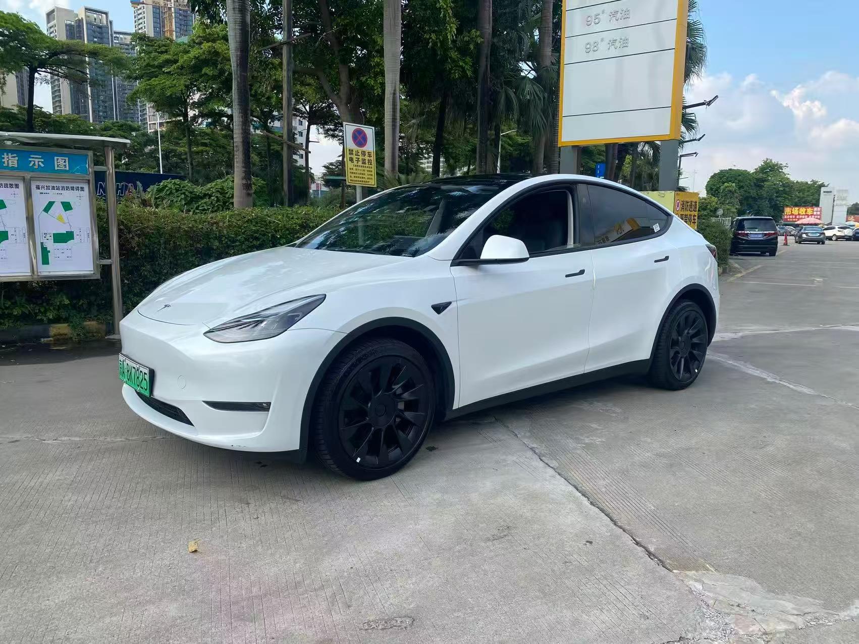 Tesla Model Y 2024 Tesla Model Y 2024 car image