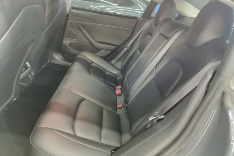 Tesla Model 3 2020 #17 Tesla Model 3 2020 car image #17