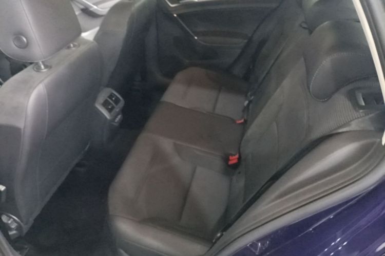 Volkswagen Golf 2019 #17 Volkswagen Golf 2019 car image #17