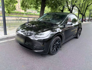 Tesla Model Y 2022 Tesla Model Y 2022 car image