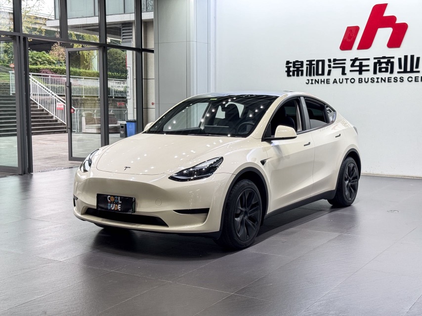 Tesla Model Y 2024 car image 