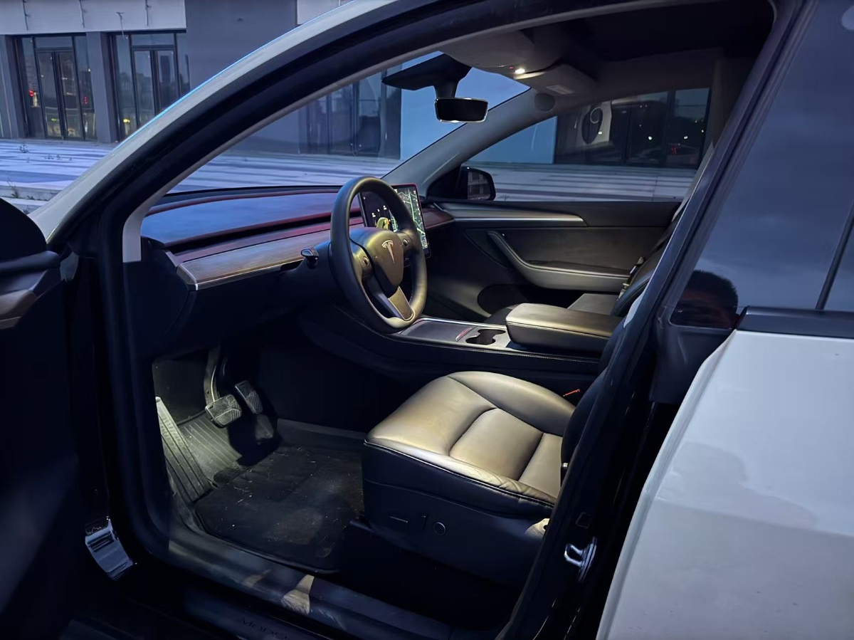 Tesla Model Y 2021 car image #4