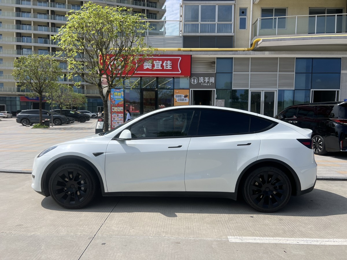 Tesla Model Y 2023 #3 Tesla Model Y 2023 car image #3