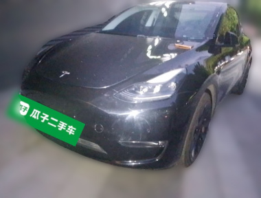 Tesla Model Y 2022 car image 