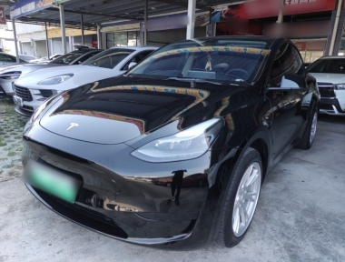 Tesla Model Y 2022 car image 