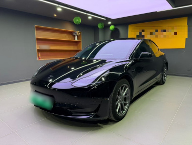 Tesla Model 3 2023 Tesla Model 3 2023 car image