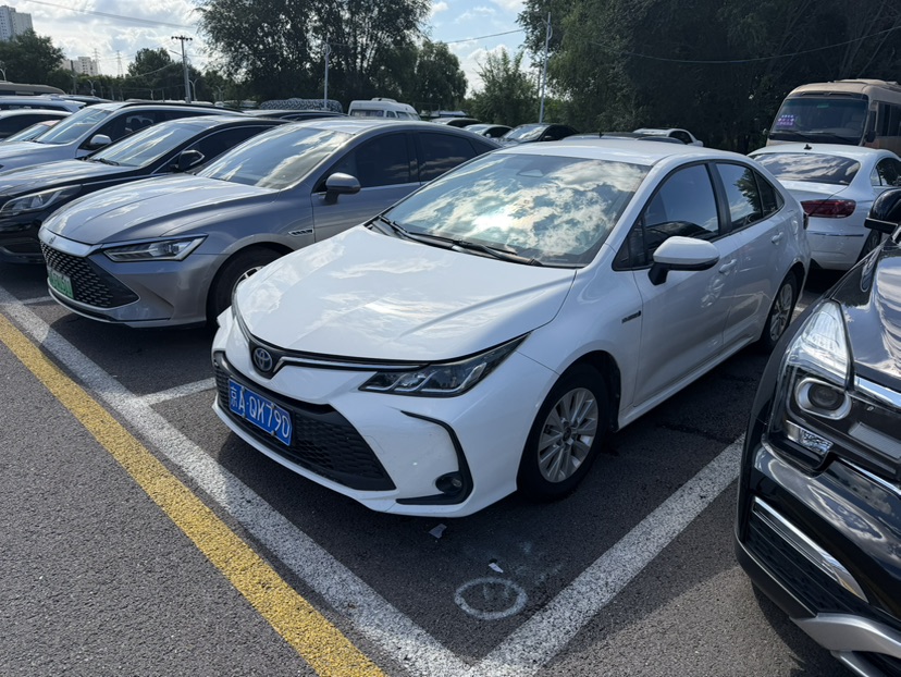 Toyota Corolla 2024 car image 
