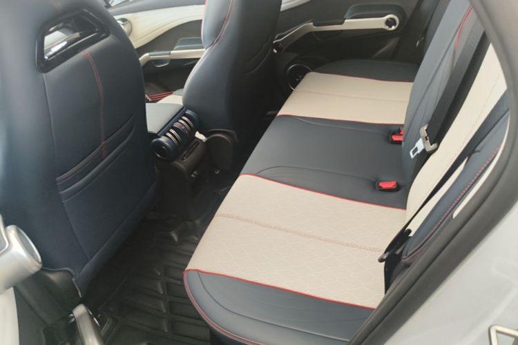 BYD Yuan Plus 2023 car image #17