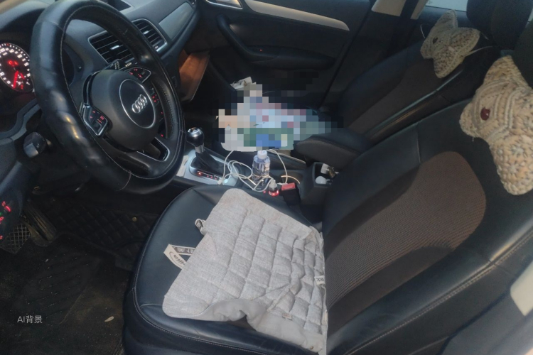 Audi Q3 2017 car image #17