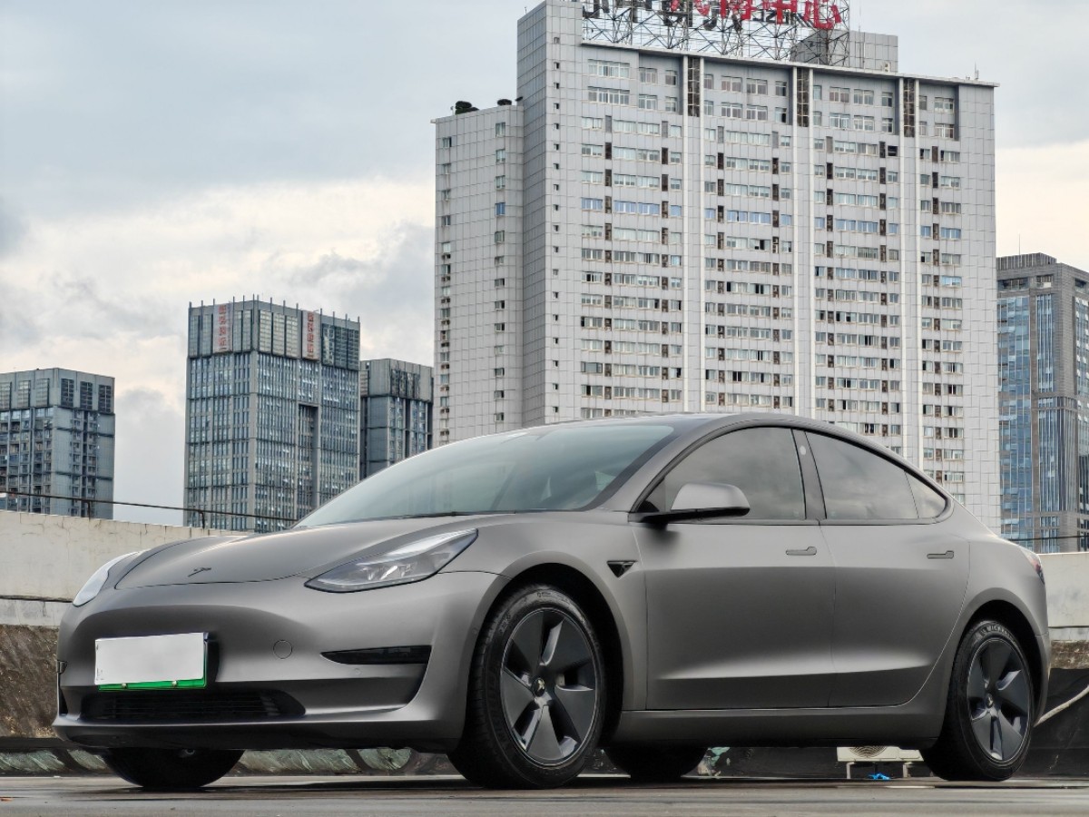 Tesla Model 3 2022 Tesla Model 3 2022 car image