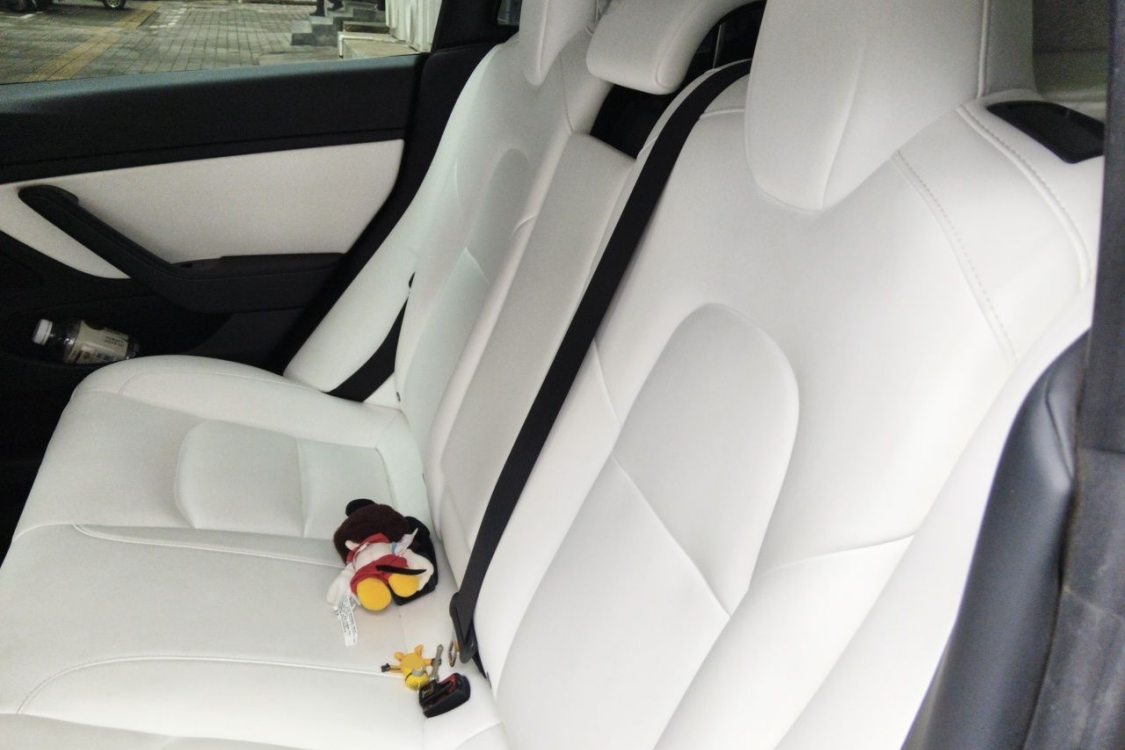 Tesla Model 3 2020 car image #19