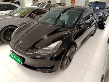Tesla Model 3 2021 Tesla Model 3 2021 car image