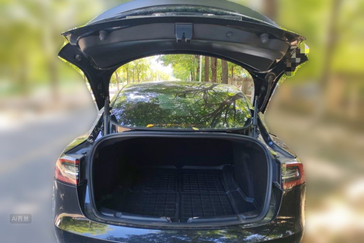 Tesla Model 3 2022 #21 Tesla Model 3 2022 car image #21