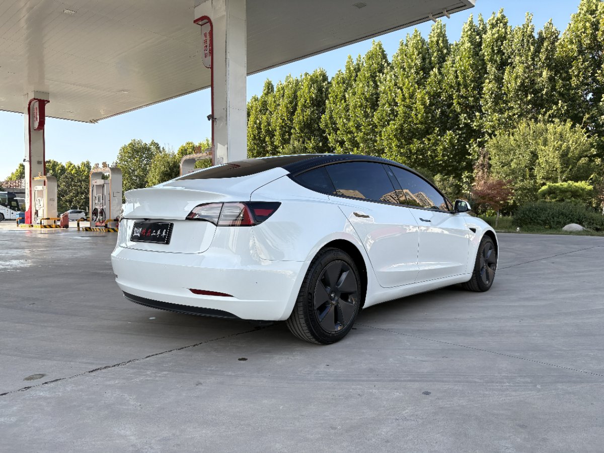 Tesla Model 3 2021 car image #9
