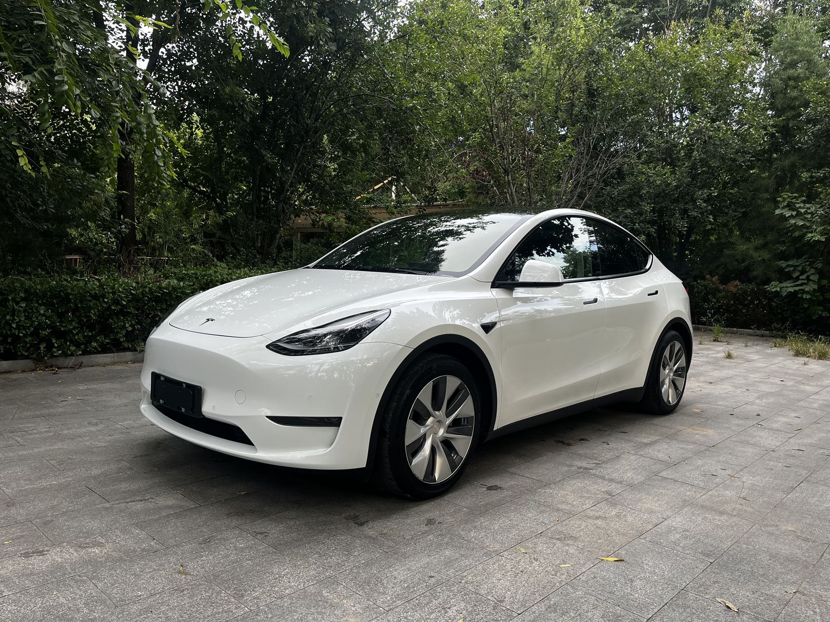 Tesla Model Y 2021 Tesla Model Y 2021 car image