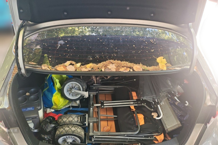 Toyota Corolla 2020 car image #21