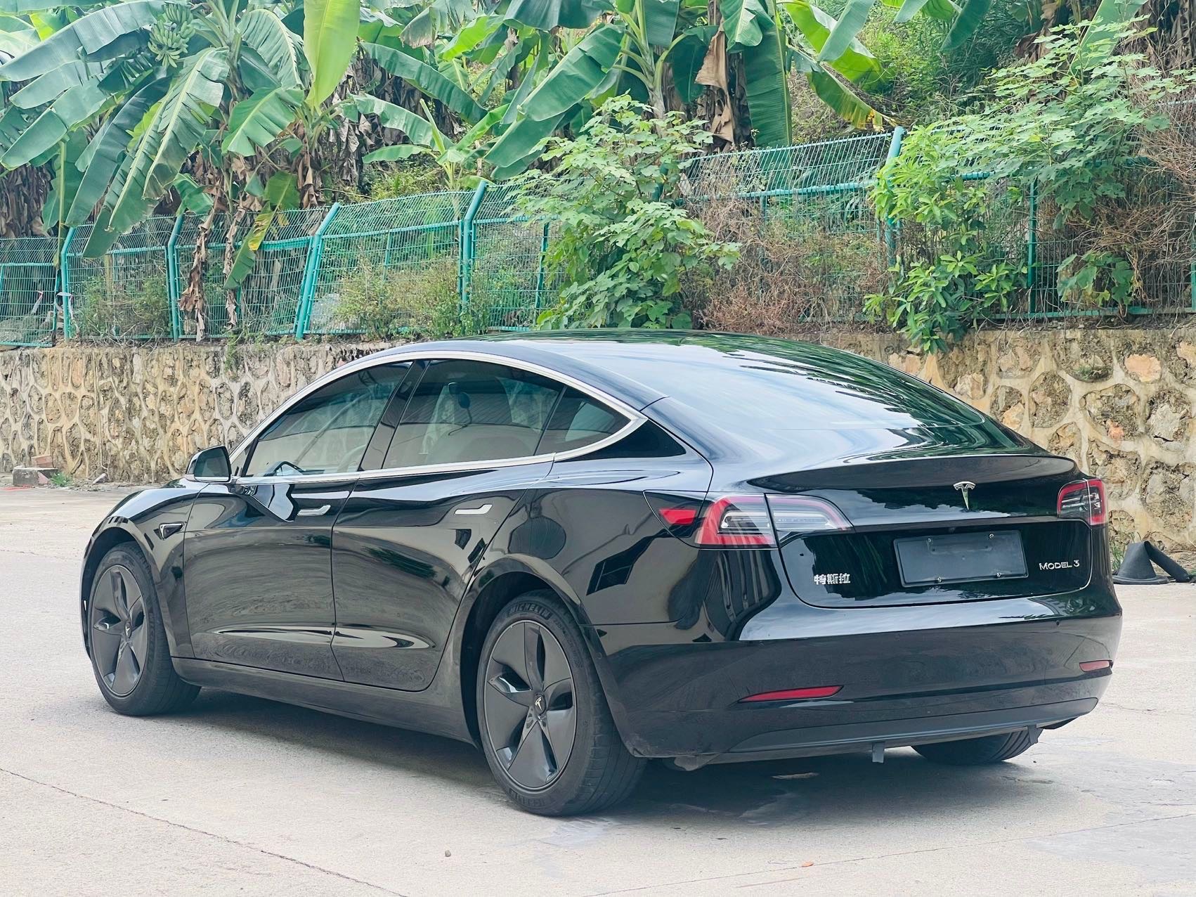 Tesla Model 3 2021 car image #4