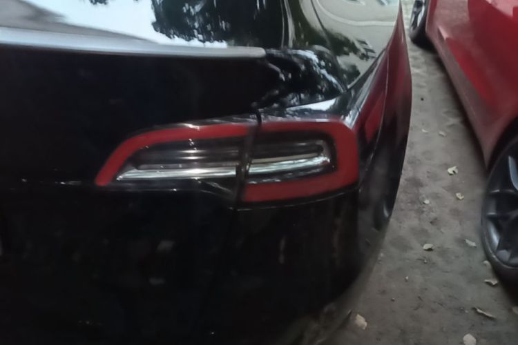 Tesla Model Y 2021 #8 Tesla Model Y 2021 car image #8