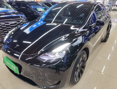 Tesla Model Y 2023 car image 