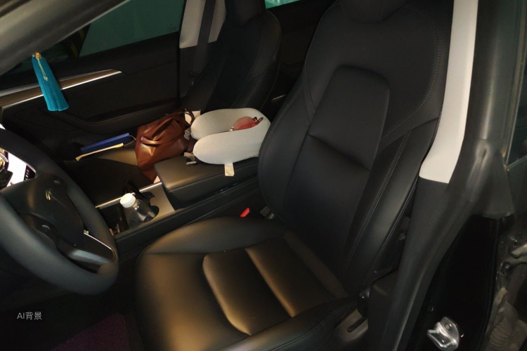 Tesla Model 3 2022 #17 Tesla Model 3 2022 car image #17