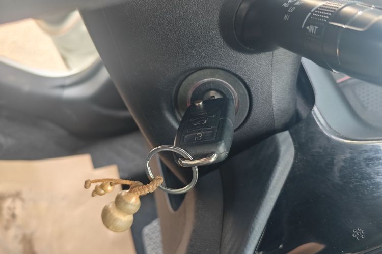 Chery Tiggo 3x 2020 car image #15