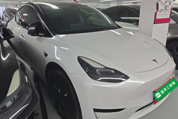 Tesla Model Y 2024 immagine di auto #4