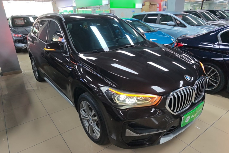 BMW X1 New Energy 2020 car image #4