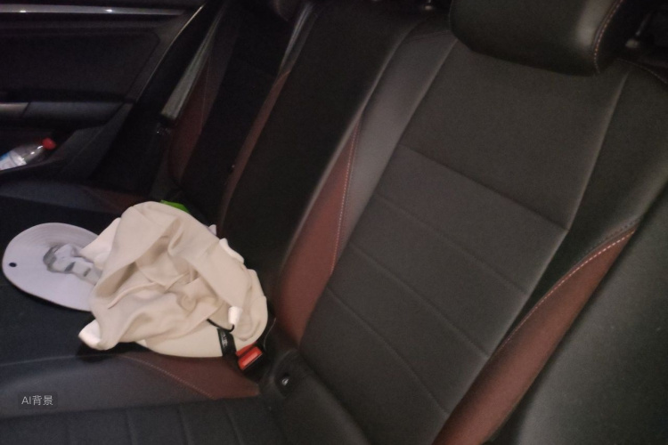 Volkswagen Bora 2021 #19 Volkswagen Bora 2021 imagen de coche #19