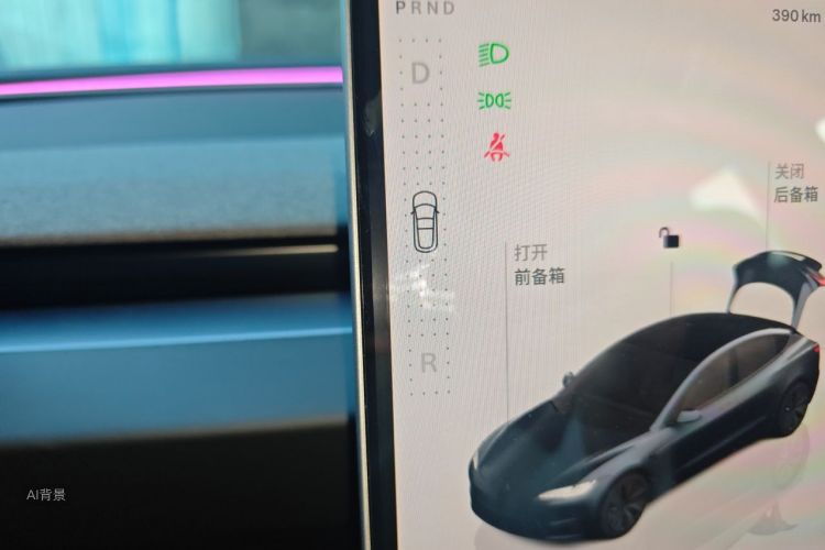 Tesla Model 3 2025 car image #16