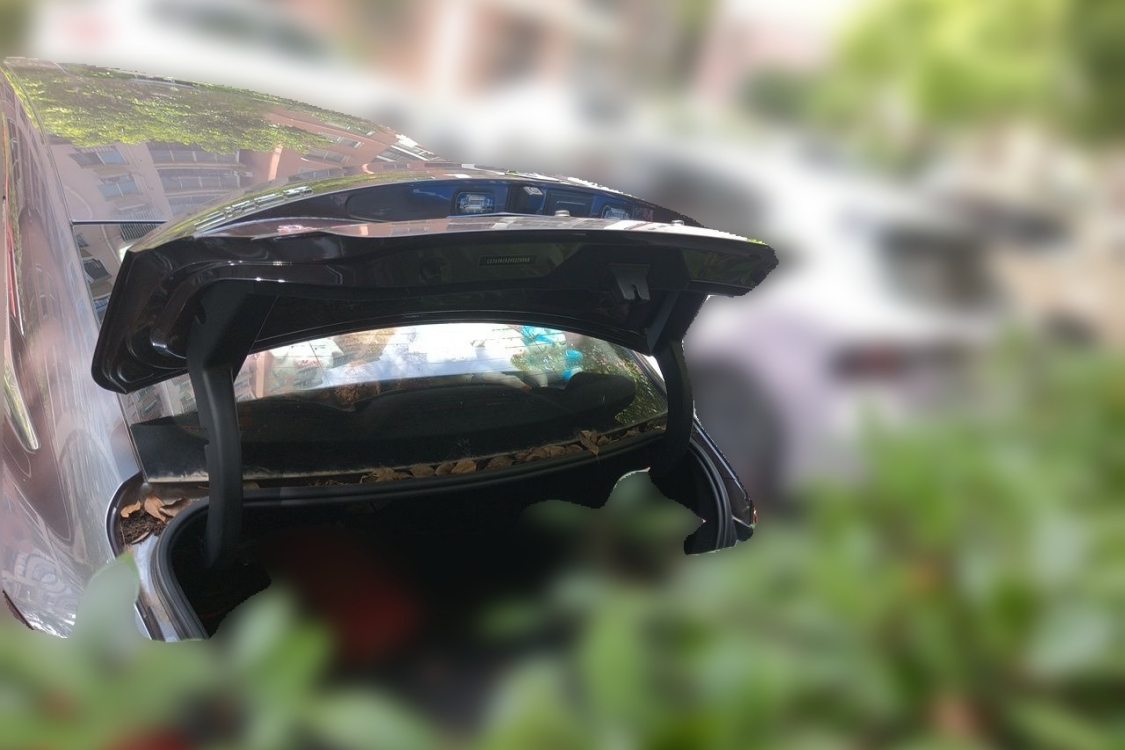 MG 5 2023 #8 MG 5 2023 immagine di auto #8
