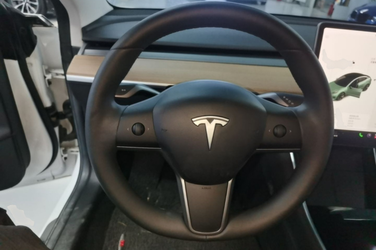 Tesla Model 3 2020 car image #11