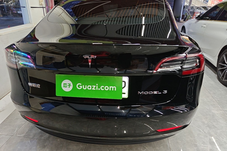 Tesla Model 3 2020 car image #6