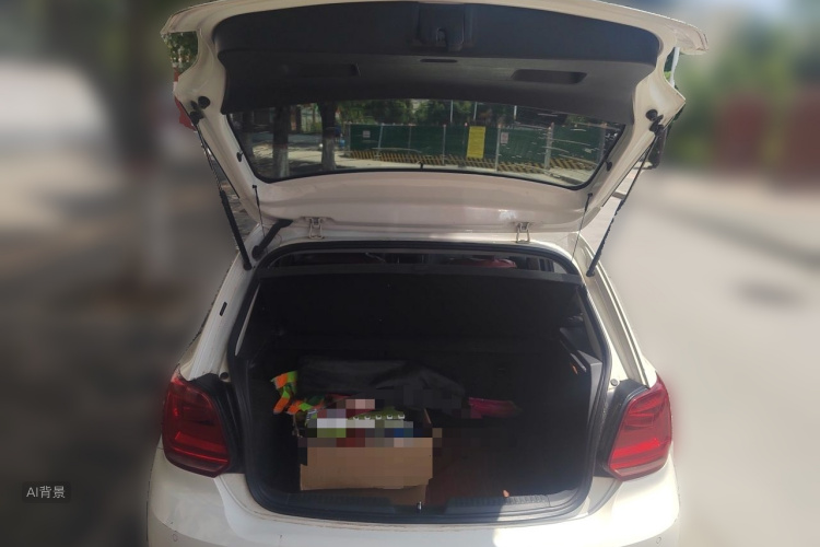 Volkswagen Polo 2015 car image #21