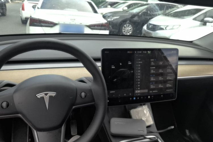 Tesla Model Y 2021 car image #10