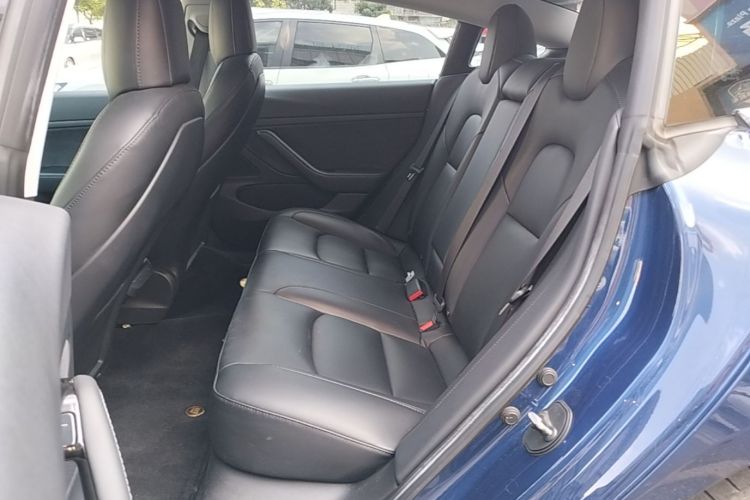 Tesla Model 3 2020 #17 Tesla Model 3 2020 car image #17