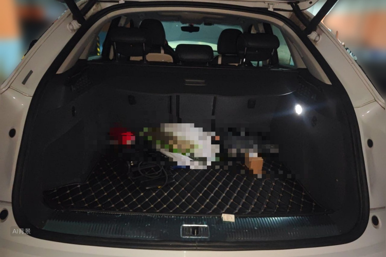 Audi Q3 2018 car image #21