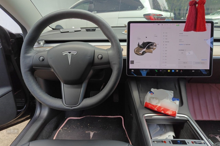 Tesla Model 3 2021 #11 Tesla Model 3 2021 car image #11