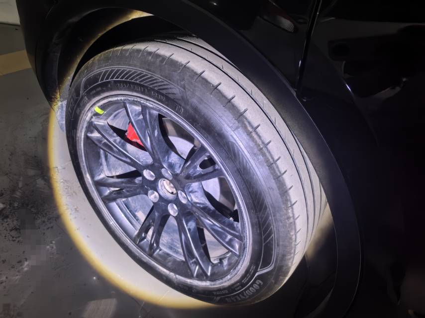 Tesla Model Y 2024 car image #4