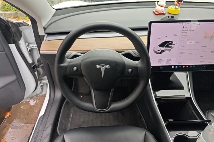 Tesla Model 3 2020 #11 Tesla Model 3 2020 car image #11