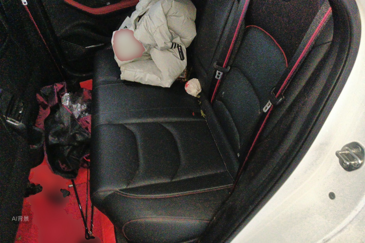 GEELY Emgrand S 2022 car image #19