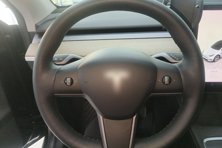 Tesla Model Y 2022 car image #11