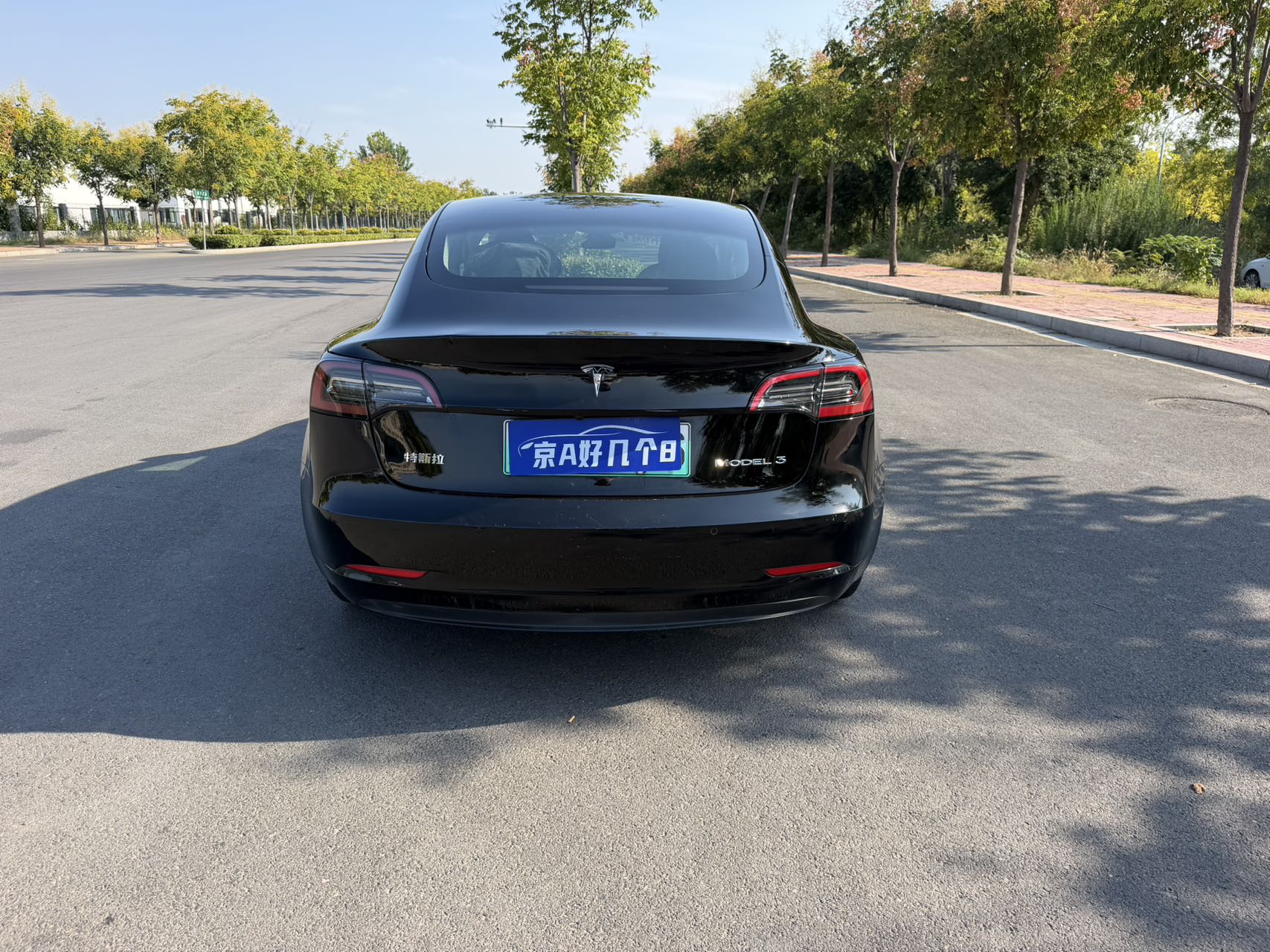 Tesla Model 3 2022 immagine di auto #4