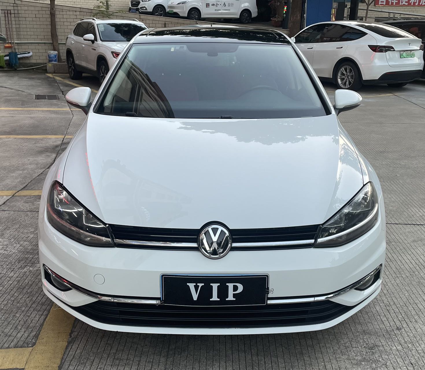Volkswagen Golf 2019 imagen de coche #2