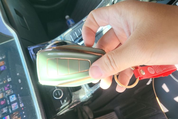 GEELY Emgrand GL 2020 car image #10