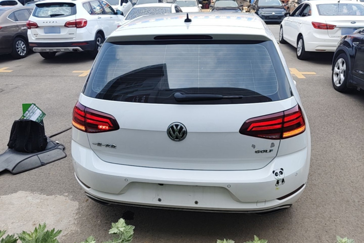 Volkswagen Golf 2019 #6 Volkswagen Golf 2019 car image #6